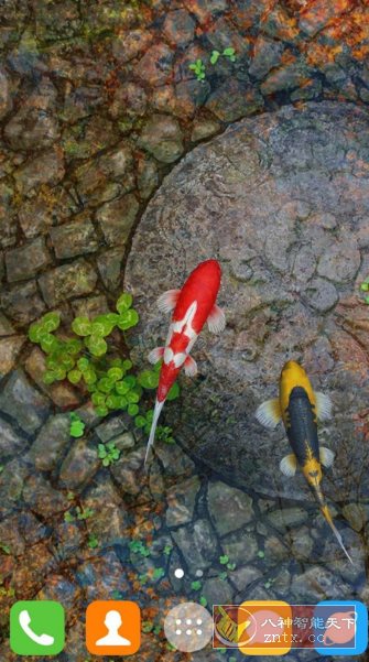 Water Garden Live Wallpaper 锦鲤3D动态壁纸2.08专业版-代码㊙️阁