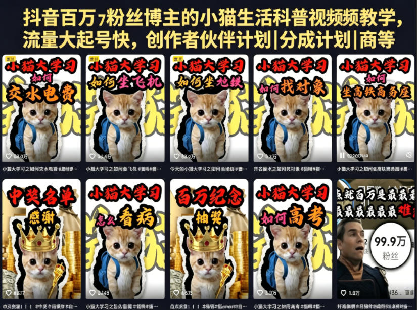 抖音百万粉丝博主的小猫生活科普视频教学，流量大起号快，创作者伙伴计划|分成计划|商单|收徒等-代码㊙️阁