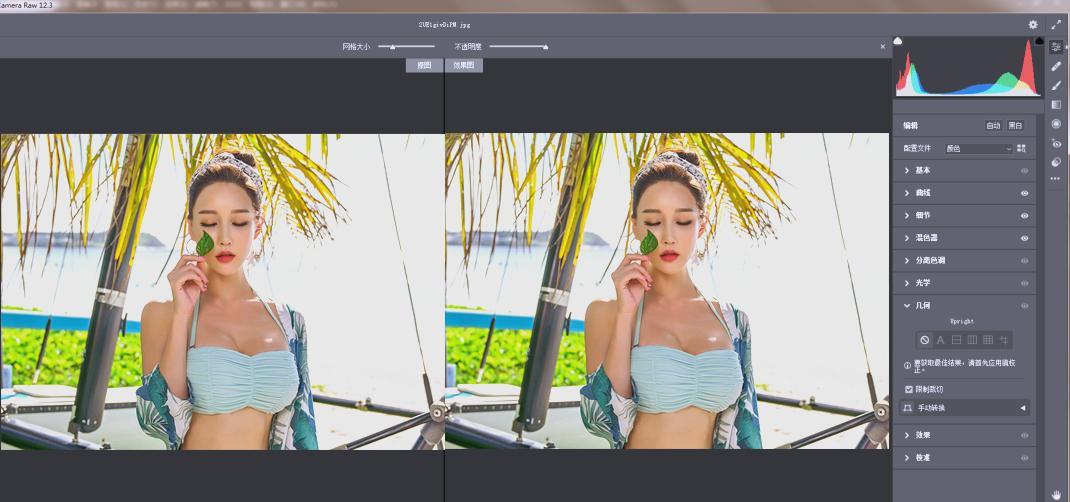 RAW处理Adobe Camera Raw v18.3.1中文版-代码㊙️阁