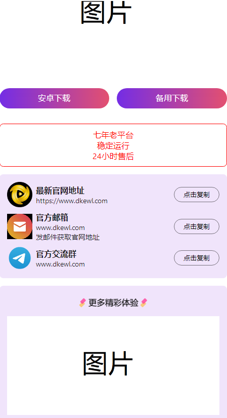 2024首发最火的软件宣传单页源码-代码㊙️阁