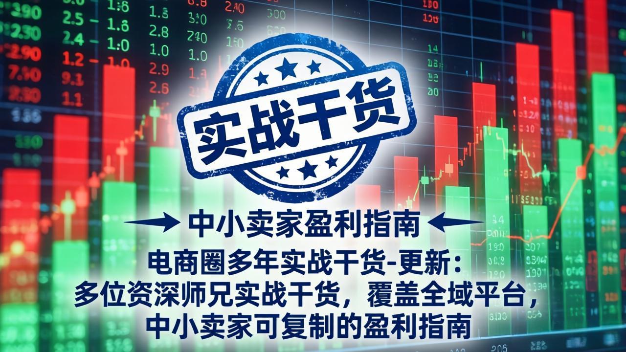 电商圈多年实战干货-更新5月20:多位资深师兄实战干货/覆盖全域平台,中小卖家可复制的盈利指南-代码㊙️阁
