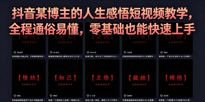 抖音某博主的灰太狼人生感悟短视频教学，全程通俗易懂，零基础也能快速上手-代码㊙️阁