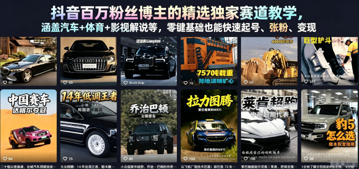 抖音百万粉丝博主的精选独家赛道教学，涵盖汽车+体育+影视解说等，零基础也能快速起号、涨粉、变现-代码㊙️阁