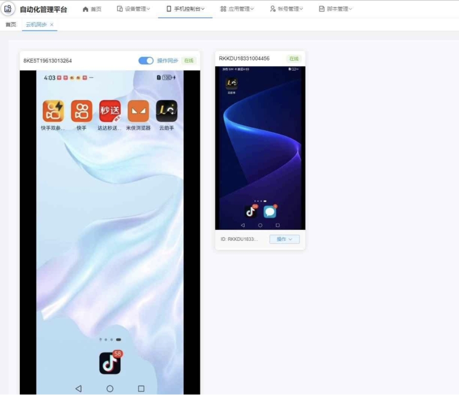 云手机群控系统源码 云手机多开群控 自动化管理程序源码-代码㊙️阁