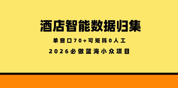 酒店智能数据归集，小众蓝海已经稳定半年之久，单窗口70+零成本矩阵开干【揭秘】-代码㊙️阁