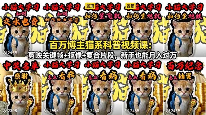 百万博主猫系科普视频课：剪映关键帧+抠像+复合片段，新手也能月入过万-代码㊙️阁