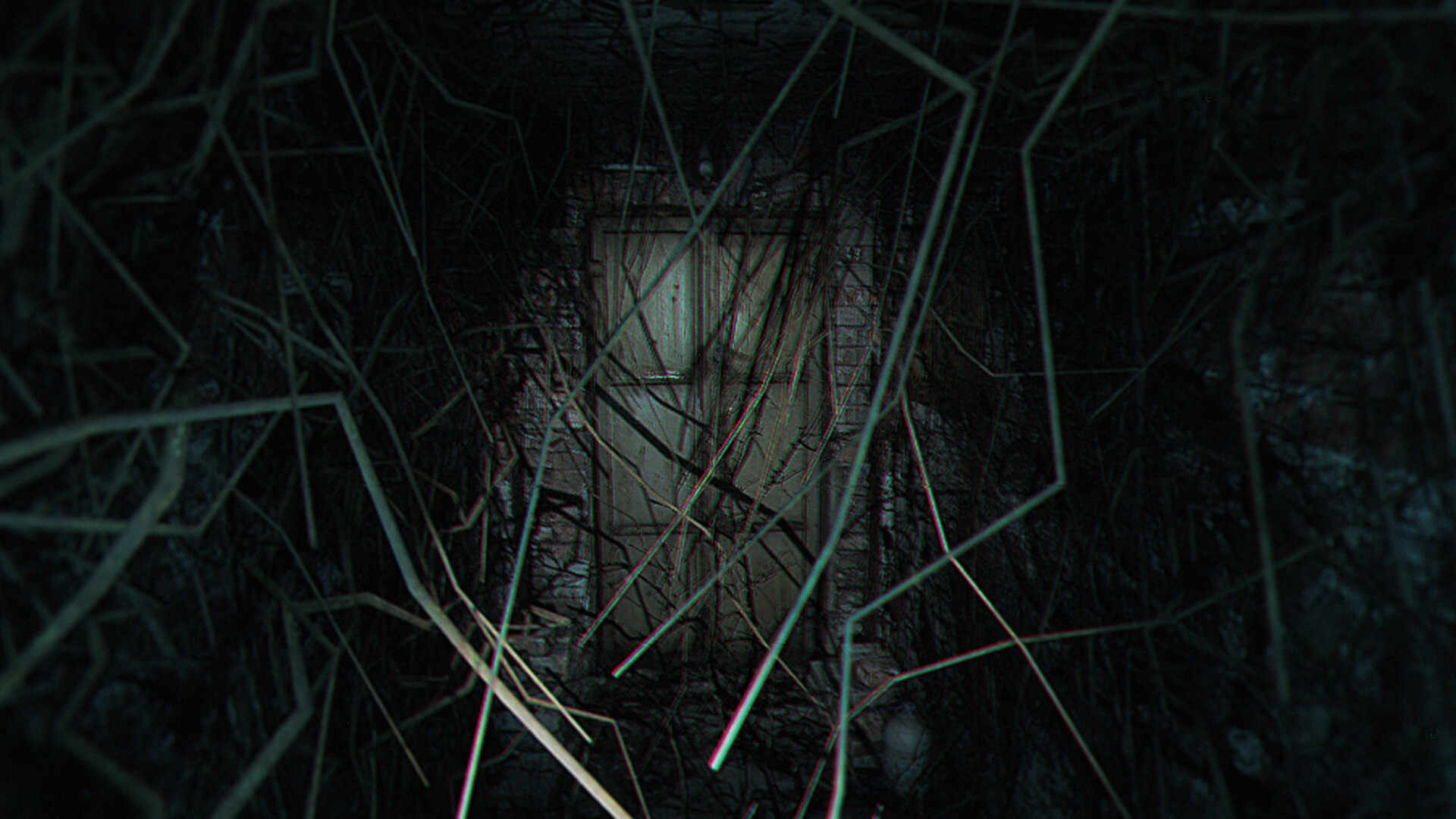 诡异之光/The Strange Lights 诡异之光/The Strange Lights